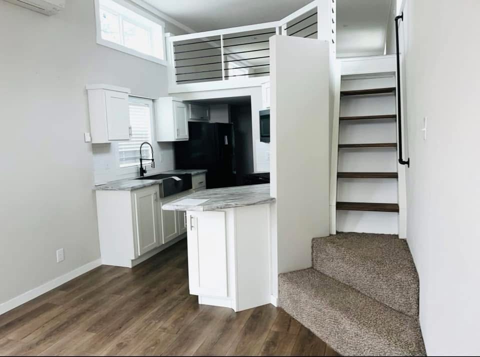 The Champion - Image 7