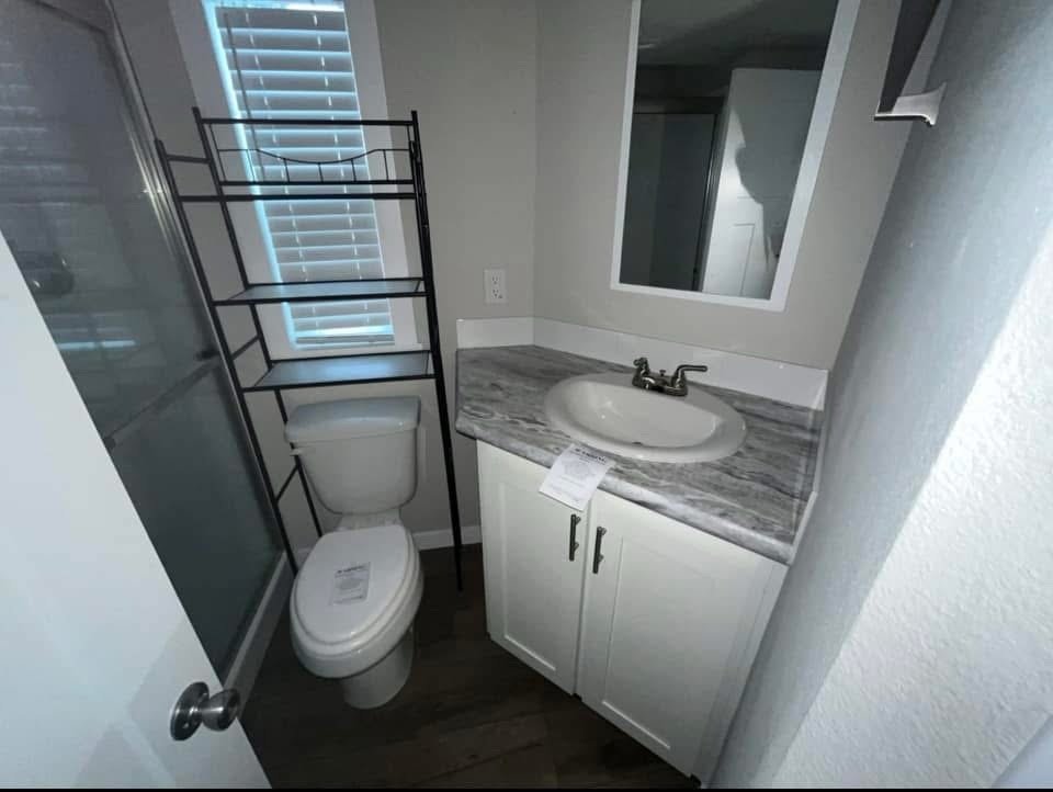 The Champion - Image 17