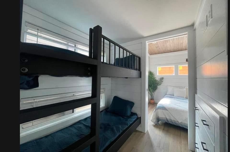 The Dream - Image 12